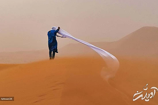 برندگان مسابقه عکاسی حفاظت از طبیعت‎